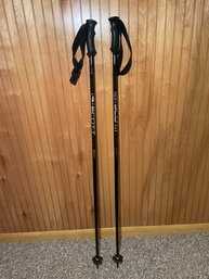 PR Of Scott Ski Poles
