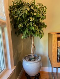 TALL FAUX TREE WITH WHITE CRACKLE PLANTER POT AND STAND