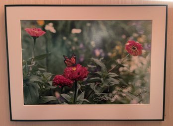 1989 SIGNED AND FRAMED PHOTO 'MONARCH BUTTERFLY ON PINK FLOWER'