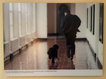 FRAMED PHOTO PRINT PRESIDENT BARACK OBAMA WITH FAMILY DOG BO IN THE WHITE HOUSE