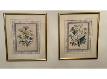 PAIR OF FRAMED FLORAL PRINTS