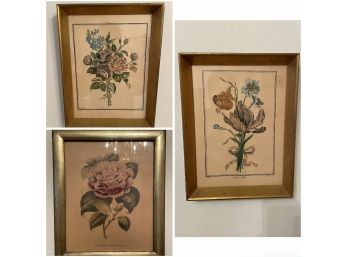 3 FRAMED VINTAGE FLORAL PRINTS