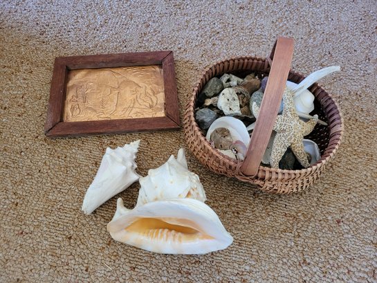 R3 Copper Fish Picture, Basket Full Of Shells, Rocks And Deer Antler, Large Shells And Others