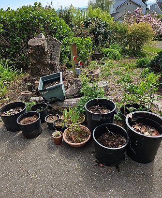R00 Lot To Include Variety Of Planters With Soil