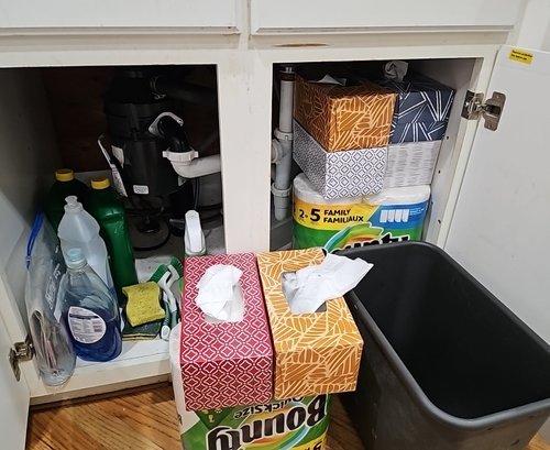 R10 Lot To Include Items Under The Kitchen Sink