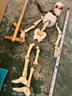 Pelham Puppet SL18 Skeleton