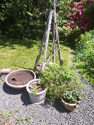 Large Medium And Small Pots With Plants, Garden Obelisk.