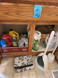 Bathroom Cleaning Supplies Like Drano, Lysol, Pine Glo, Clorox, Towel, Plunger And Other Supplies