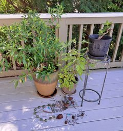 Three Potted Plants, Plant Stand And Various Outside Hanging Decor.