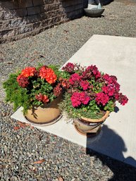 Three Outdoor Flower Pots With Plants