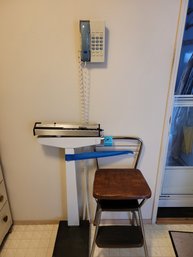 Rm 1 Vintage Cosco  Vinyl And Metal Utility Step Ladder And Sears Bathroom Scale R