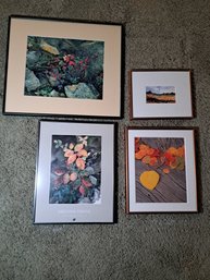 R3 Framed Nature Prints