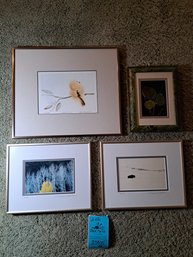 R3 Four Framed Nature Prints