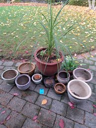 R0 Variety Of Outdoor Clay And Ceramic Pots, Two Containing Dirt And Plants
