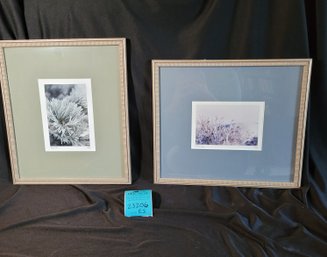 R1 Pair Of Signed Pictures, 'frost On Pine,' And 'snow Swept'
