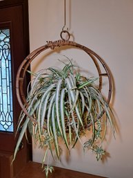 R6 Bamboo And Wicker Hanging Plant Holder With Fake Plant.