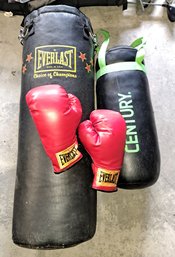 R0 Large Everlast Punching Bag, Small Century Punching Bag, Everlast Punching Gloves