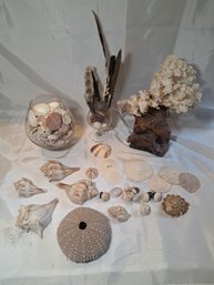 R1 Assortment Of Sea Shells And Beach Decor, Brandi Snifters And Feathers