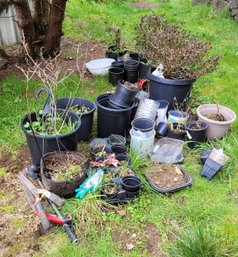 R00  Azalea Plant, Assorted Pots With Unidentified Plants, Assorted Emptypots Wooden Bird Feeder, Garden Tools
