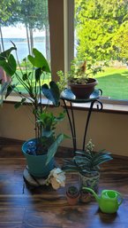 R4 Assorted Plants, Plant Stand, Silk Orchid, Watering Can, And Other Items