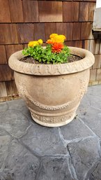 R00 Large Resin Planter With 3 Ranunculus