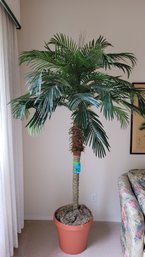 R1 Artificial Palm Tree