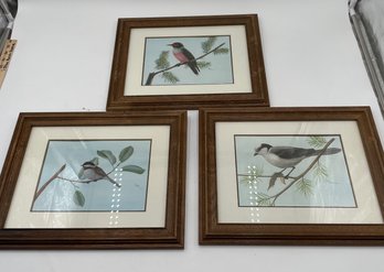 R1 Three Framed Lithographs By Zella Schultz (1920-74)