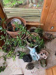 Plants In Pots, Yard Figurines, Fish Candleholders, Lava Rock