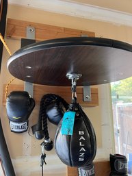 Balsas Wall Mounted Speed Bag With Everlast Gloves, And Pulldown Ropes