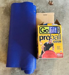 R0 Yoga Mat, Go Fit Pro Ball Exercise Fitness Items