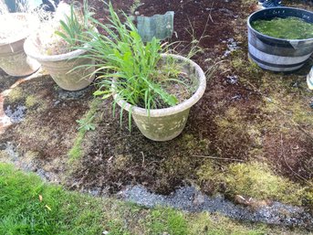 Outdoor Plant Pots
