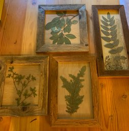 Framed Pressed Leaf Art