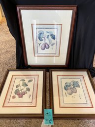 R8  Set Of Three Fruit Art Prints 22.5in X 18in And 18in X 15in