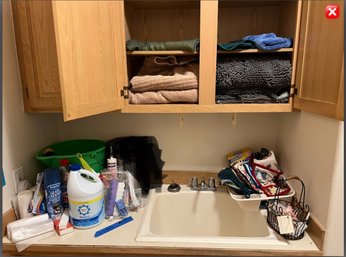 R5  Laundry Room. Includes But Not Limited Bucket With Scrubbing Brushes, Trash Bags, Bleach,