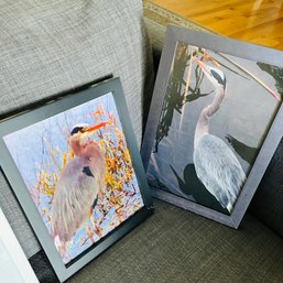 R2 Lot Of 5 Framed Art Pieces Geese Cranes