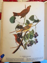 Rm2 The Birds Of America Hardcover Book 1944