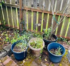 R00 Lot Of Four Plant Pots Plus Tiny Bird Bath