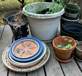 R00 Collection Of Empty Planters, Mostly Plastic, Trays, And Some Real Pots With Plants And Soil