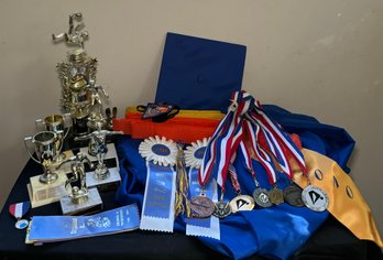 R9 Memorabilia Lot To Include Trophies, Ribbons, Yearbooks And More!