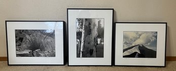 R6 Collection Of Three Signed And Titled Framed Photographs