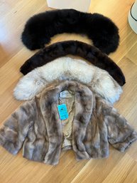 Three Fur Collars And One Fur Stole With Short Sleeves Labeled Evans Of Chicago