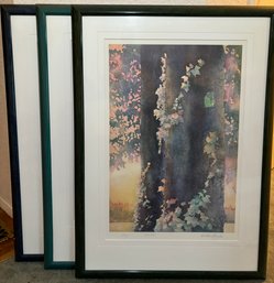 R1 Three William Winden Signed, Editioned And Framed