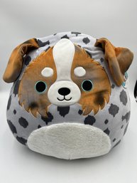 Large Raylor Dog Squishmallow