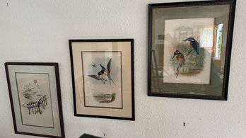 Three Framed Prints Of Various Birds And Nature