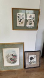 One Large Framed Print With Birds And Nature And Two Smaller Framed Prints