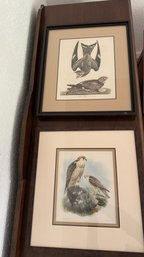 Two Framed Prints With Falcon And Night Hawk