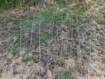 R00 Set Of Four Tomato Supporters