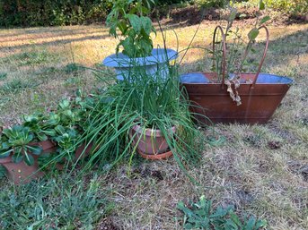 R00 Four Various Planter Pots, Two Oval, One White, One Ceramic