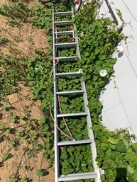 12 Ft Ladder