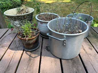 R00 Five Planter Pots, Two Pots, Three Ceramics